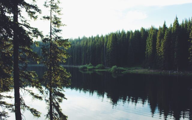 いろいろ始めました。