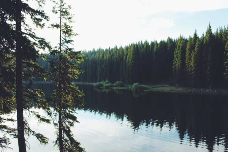 Read more about the article いろいろ始めました。