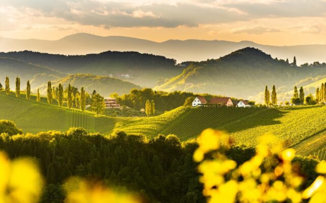 森のヘッドスパ　ブログを始めます。