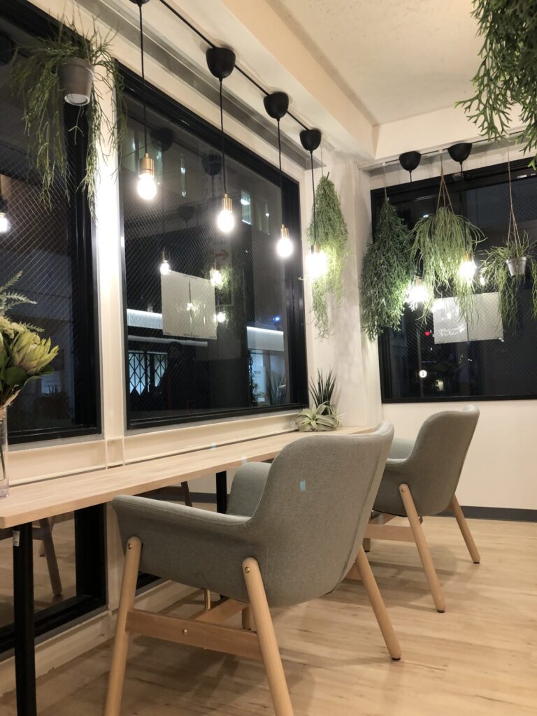 Read more about the article オープンいたしました！