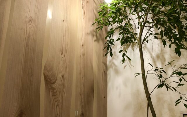 背の高い新しい森の仲間