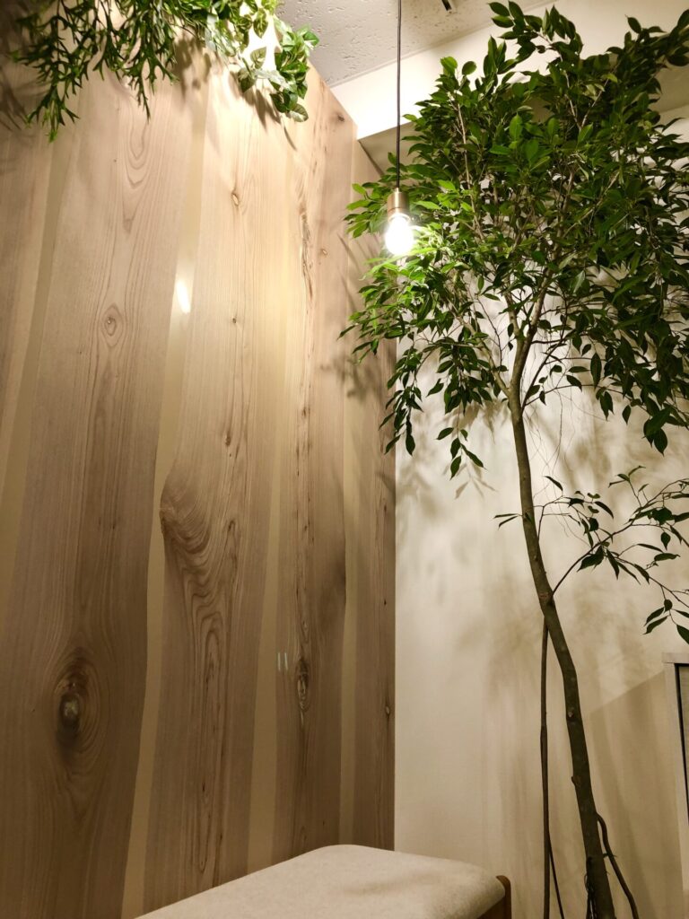 Read more about the article 背の高い新しい森の仲間